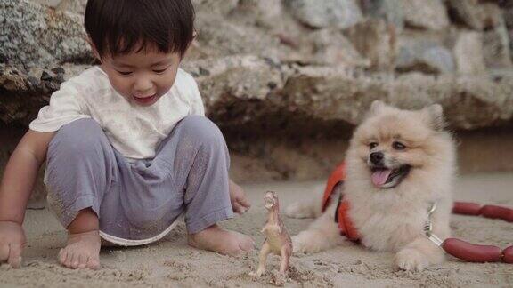 一个小男孩和小狗在海滩上放松