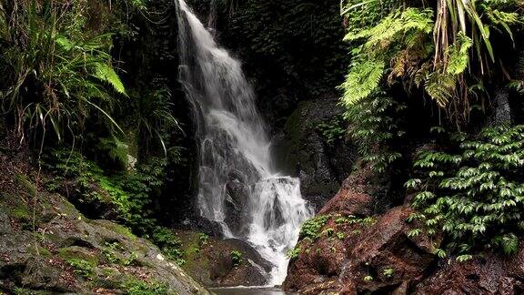 Elabana瀑布-在拉明顿国家公园的热带雨林瀑布的4K镜头