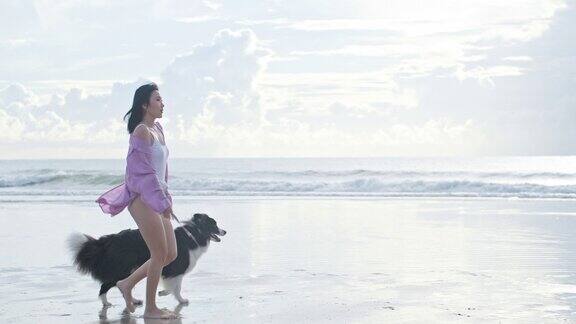 一个小女孩带着宠物在热带海边的沙滩上散步