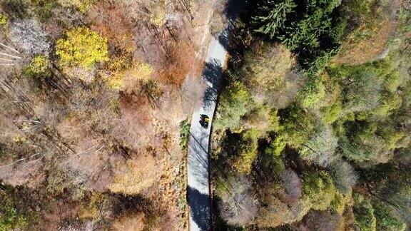 头顶空中鸟瞰黄色老古董车行驶在五颜六色的秋天森林的道路上秋天橘色绿树密林山街道制订者4k无人机飞行直线下降建立拍摄