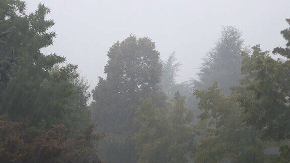 狂风暴雨