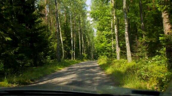 路在一片绿色的森林里