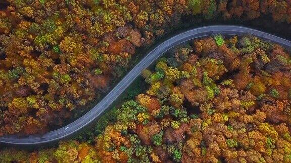 头顶鸟瞰图的乡村道路在阳光充足的秋天森林