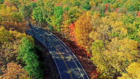 在阿巴拉契亚山波科诺斯宾夕法尼亚州的森林道路顶视图秋天的树叶空中无人机视频