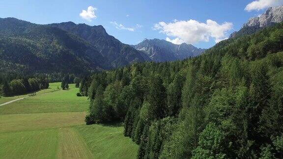 鸟瞰图飞越阿尔卑斯山的森林特里格拉夫国家公园斯洛文尼亚