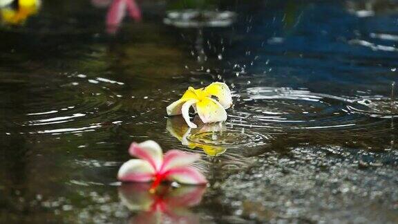 在泰国的雨季雨点落在地板上上面有五颜六色的花朵