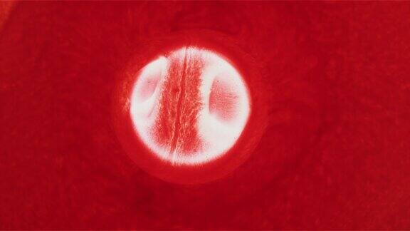 红色细胞液滴漂浮在空间合并背景