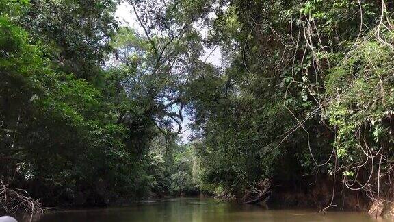 航行在亚马逊盆地的库亚贝诺保护区