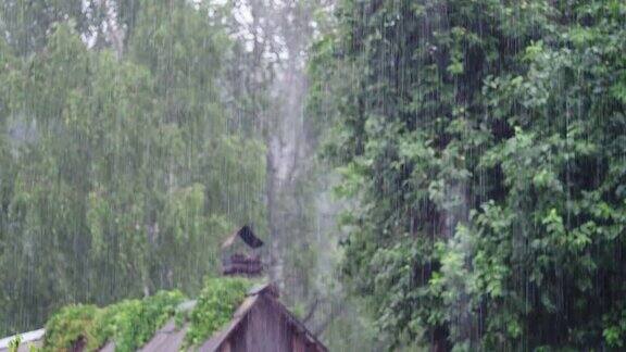 后院的雨