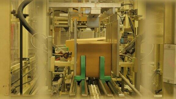 在米厂的传送带上折叠纸箱-4K