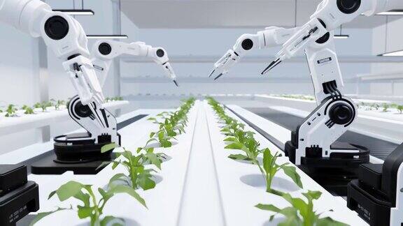 智能机器人概念机器人农业技术农场自动化