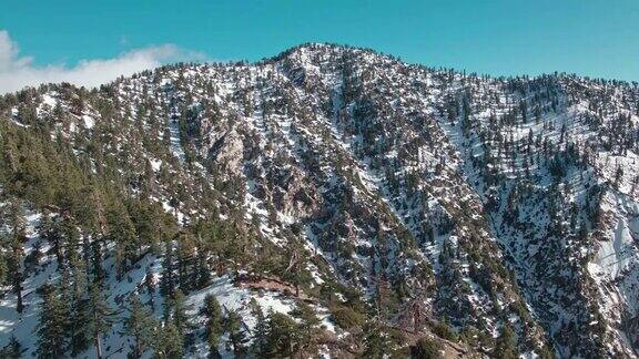 飞越山上积雪覆盖的树木