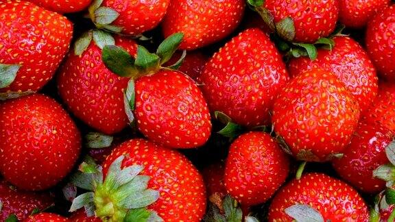新鲜的草莓旋转