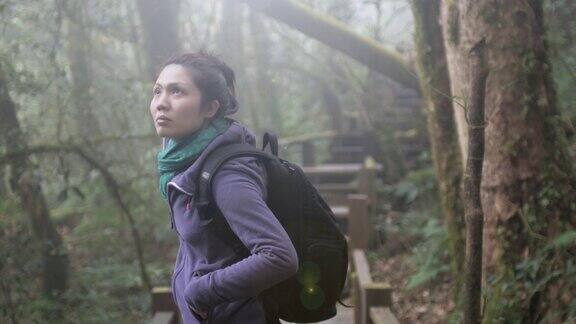4K:在雨林自然步道中徒步的女性4K(超高清)