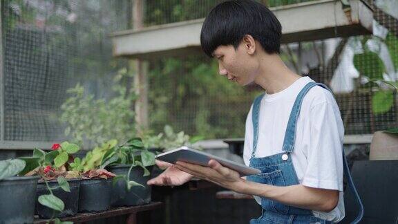 一名亚洲男子在检查植物时正在使用电子平板电脑