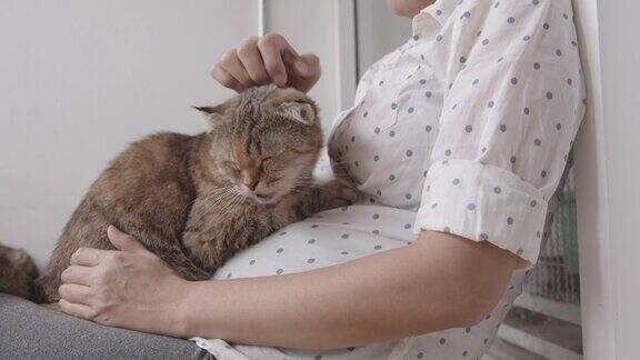 亚洲孕妇坐在腿边抚摸一只可爱的猫