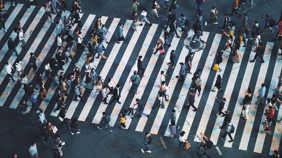 鸟瞰图穿过日本涉谷的人群