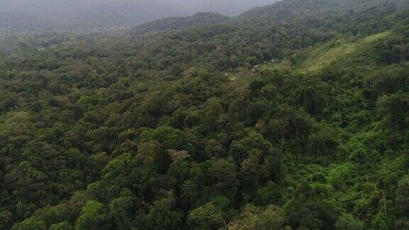 森林景观和山脉在一个多云的日子在巴西