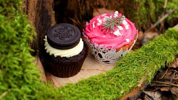 纸杯蛋糕蛋糕在森林中央的苔藓上有一个黑色的奶油饼干和粉色的婚礼蛋糕