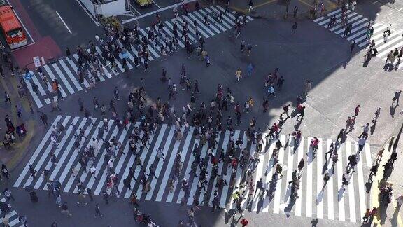 东京有4k人过马路