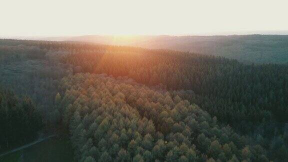 鸟瞰图:阳光明媚的比利时阿登河谷树木五彩缤纷的森林