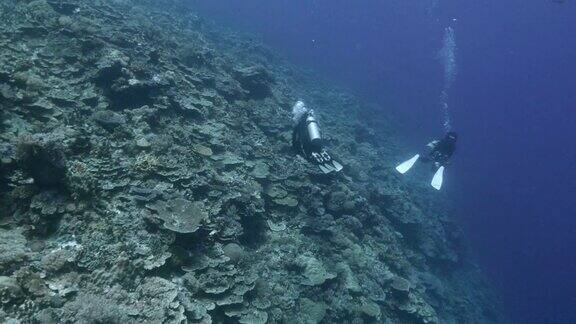 蓝色的大海珊瑚礁水下