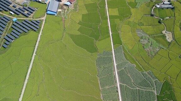 俯瞰乡村绿色的稻田和太阳能电池板