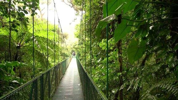 穿过雨林的步行桥