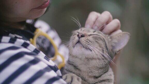 在森林里一个女人抚摸着躺在她怀里的小猫