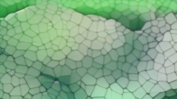 有机绿色细胞动画