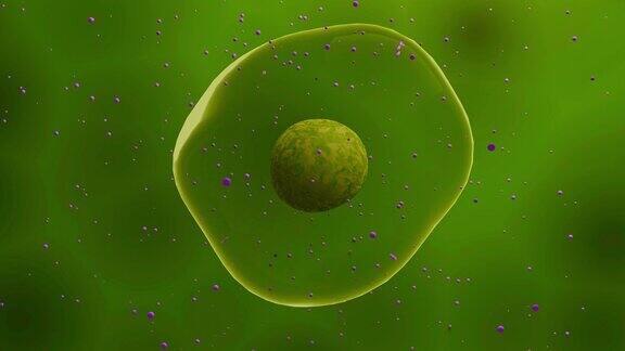 胚胎干细胞漂浮在液体中ips细胞处理动画人体微细胞特写有机分子结构的实验室研究或实验显微观察