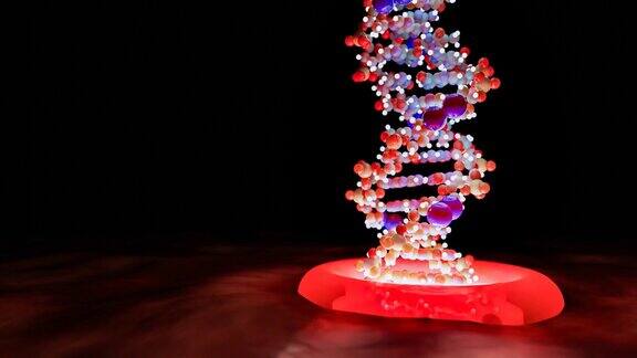 DNA链或染色体从细胞核中射出