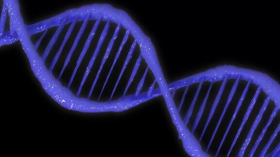 螺旋状的DNA链双螺旋人类DNA结构DNA链DNA分子矢量图