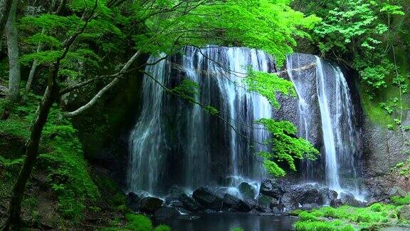 日本福岛TatsusawaFudo-taki瀑布