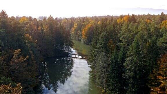 空中森林围绕着一个在阳光下闪闪发光的湖