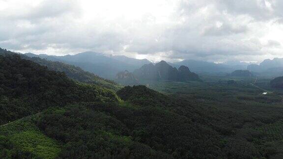 4k鸟瞰图和放大云雾热带雨林在考索国家公园