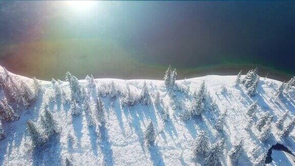 雪后的晨湖
