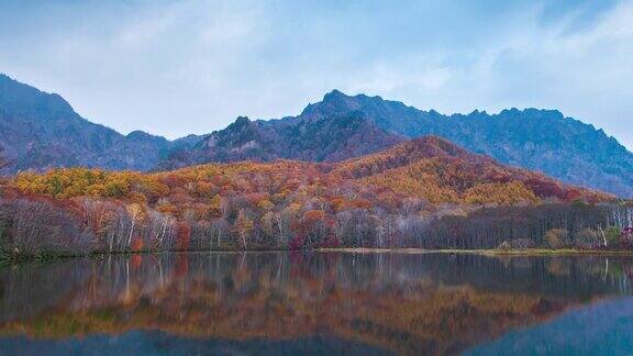 4k时间流逝与摄影车右边的鹿神池秋天的季节日本长野