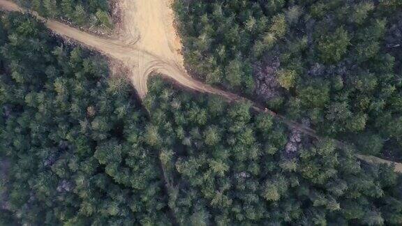 一辆汽车正行驶在碎石路上穿过森林
