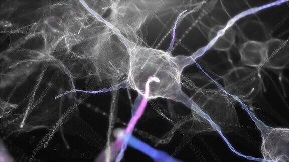 神经元细胞的神经网络神经科学与技术概念