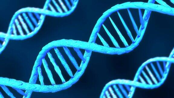 3.DNA双螺旋基因模型动画