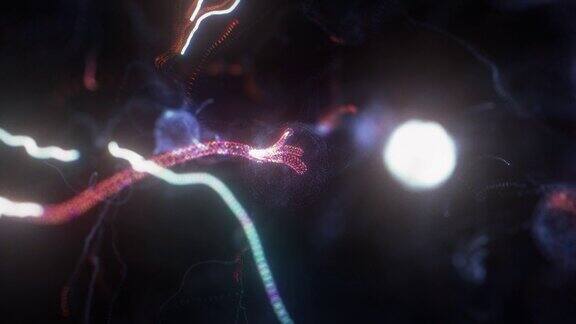 活跃神经元细胞视频脑神经元医学背景