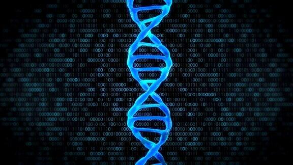 4K-DNA人类代码无缝循环-股票视频
