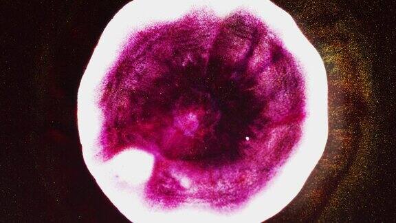 在太空医疗保健研究背景下通过显微镜看到的快速突变的粉红色细菌细胞就像一颗星星