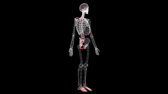 病毒通过黑色背景上的体积旋转骨架单色传播病毒在体内的可视化演示教程视频医学概念60FPS3D动画