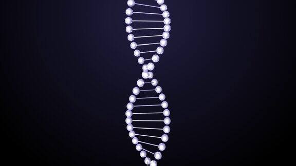 DNA结构分子揭示和旋转与α通道4k