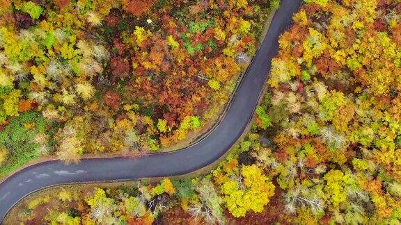 高空飞过秋天的高山森林