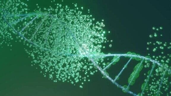 绿色背景下的DNA旋转动画