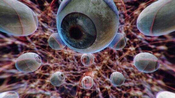 眼神经元细胞