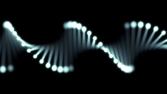闪烁的DNA在黑色背景上的3D动画60fps物体是水平的